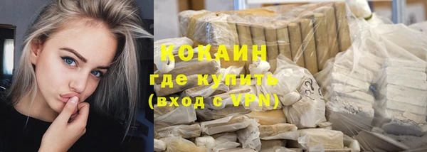 сатива Армянск