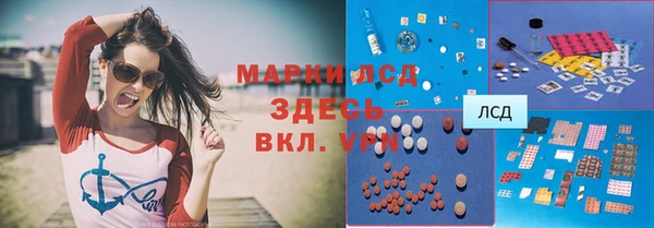 сатива Армянск